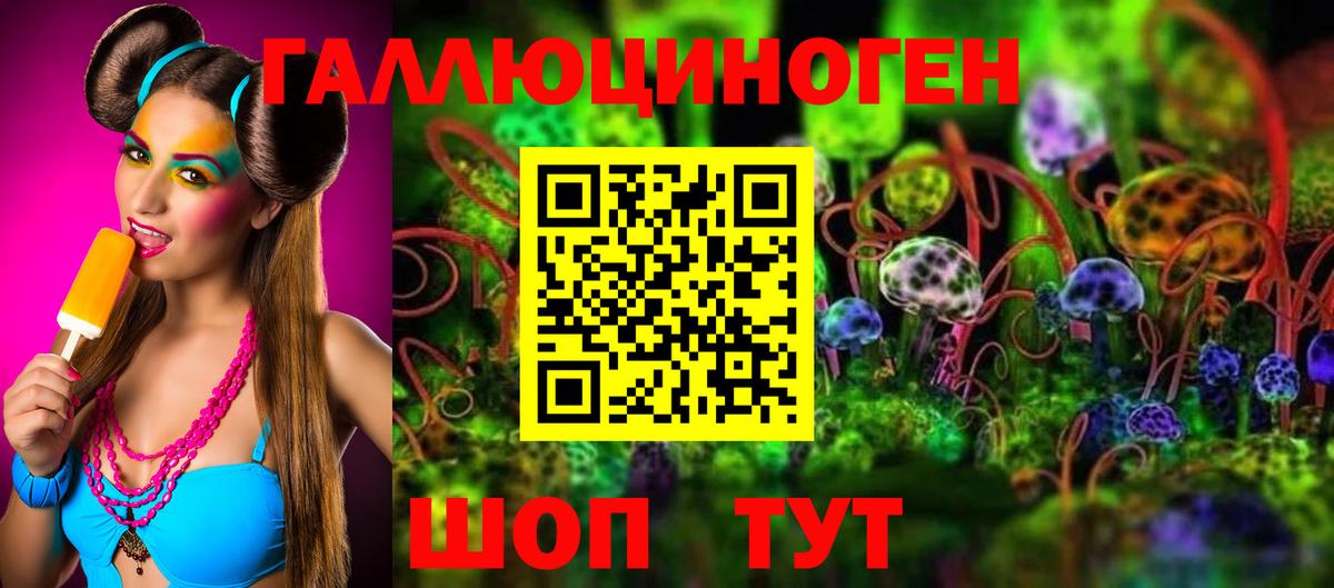 Псилоцибиновые грибы Psilocybe Асбест